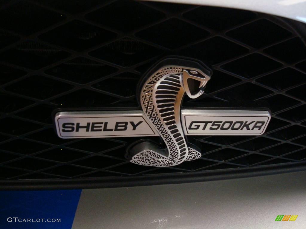 2009 Mustang Shelby GT500KR Coupe - Brilliant Silver Metallic / Black/Black photo #7