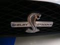 2009 Brilliant Silver Metallic Ford Mustang Shelby GT500KR Coupe  photo #7