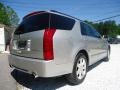 2007 Light Platinum Cadillac SRX V6  photo #7