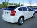 Stone White - Caliber SXT Photo No. 7