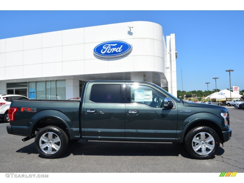 Guard Metallic 2015 Ford F150 Platinum SuperCrew 4x4 Exterior Photo #104799163