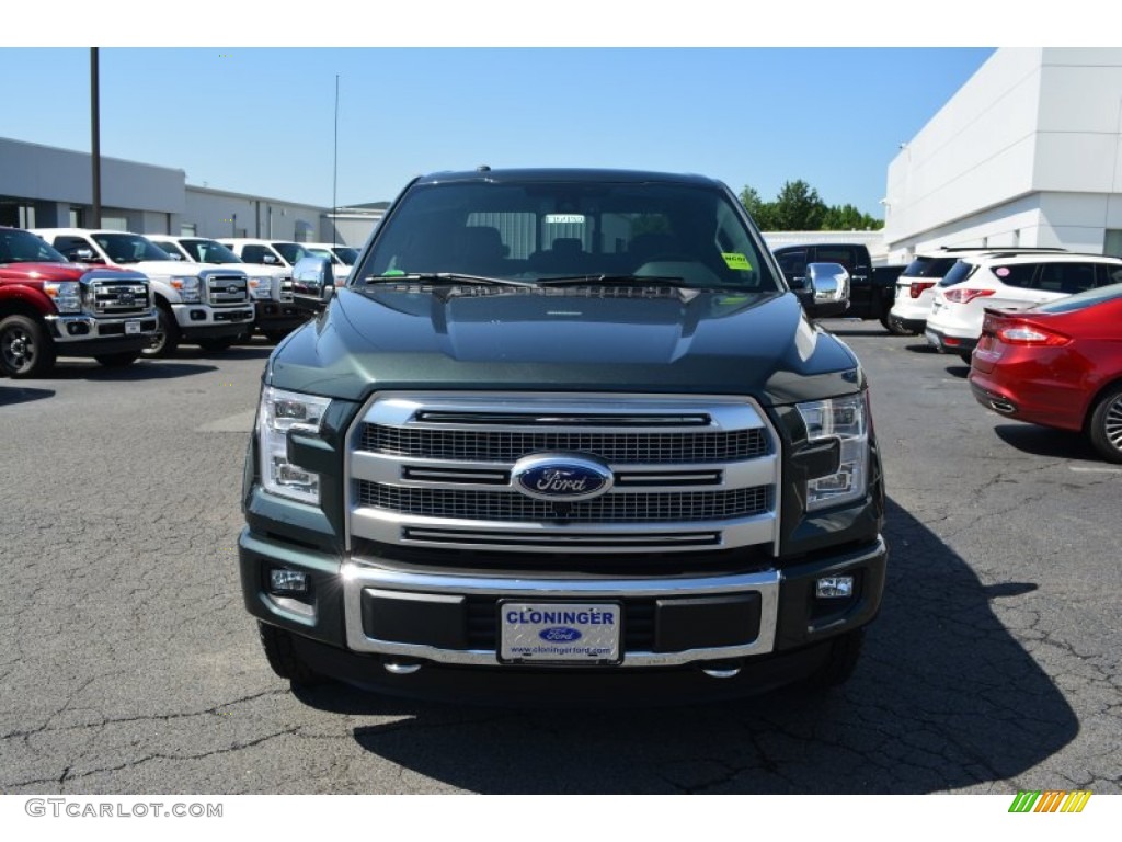 2015 F150 Platinum SuperCrew 4x4 - Guard Metallic / Platinum Black photo #4