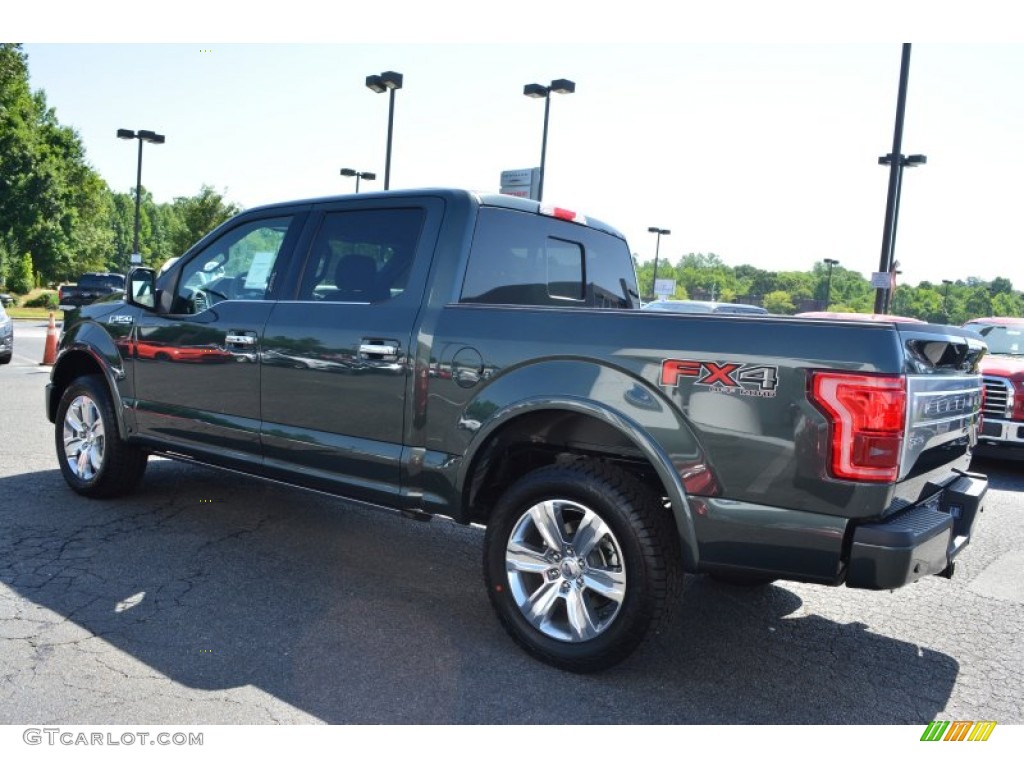 2015 F150 Platinum SuperCrew 4x4 - Guard Metallic / Platinum Black photo #36