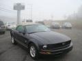 Alloy Metallic 2009 Ford Mustang V6 Convertible