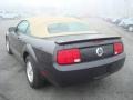 Alloy Metallic - Mustang V6 Convertible Photo No. 5