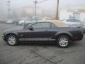 Alloy Metallic - Mustang V6 Convertible Photo No. 6
