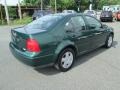 Baltic Green - Jetta GLS Sedan Photo No. 6