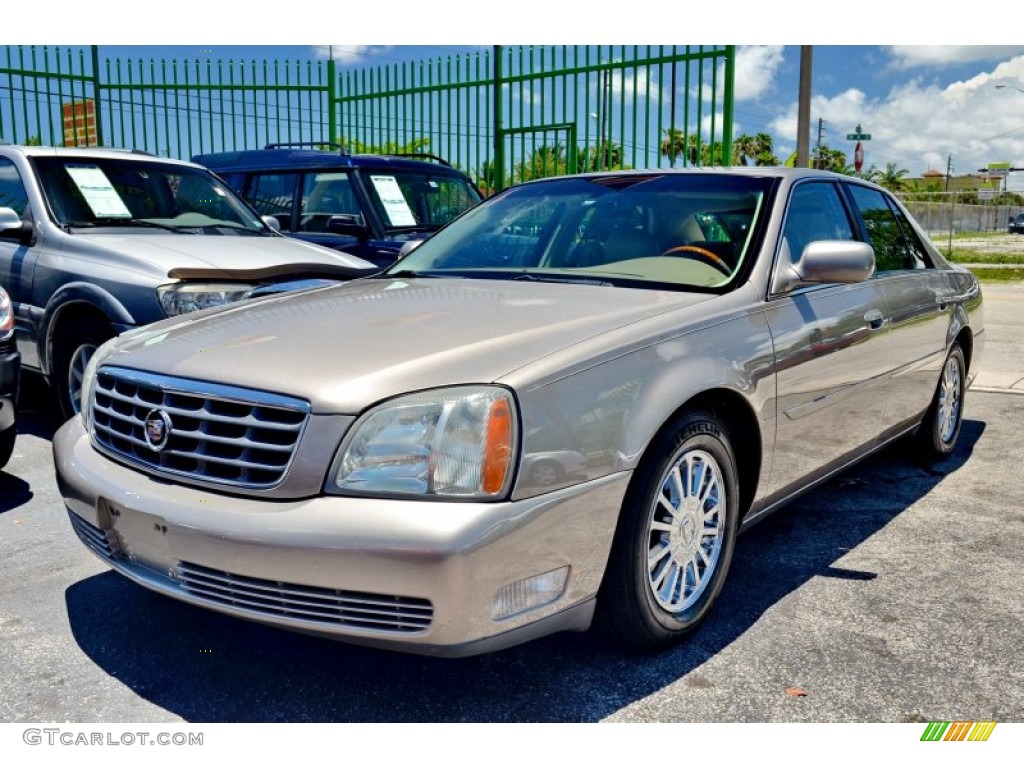 2004 DeVille DHS - Cashmere / Shale photo #68