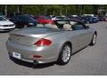 2006 Mineral Silver Metallic BMW 6 Series 650i Convertible  photo #7