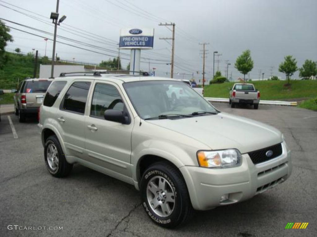 2003 Escape Limited 4WD - Gold Ash Metallic / Medium Dark Pebble photo #1