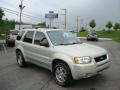 2003 Gold Ash Metallic Ford Escape Limited 4WD  photo #1