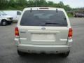 2003 Gold Ash Metallic Ford Escape Limited 4WD  photo #4