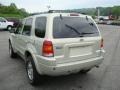 2003 Gold Ash Metallic Ford Escape Limited 4WD  photo #5