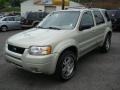 2003 Gold Ash Metallic Ford Escape Limited 4WD  photo #7