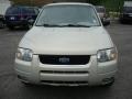 2003 Gold Ash Metallic Ford Escape Limited 4WD  photo #8