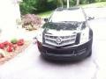 Black Ice Metallic - SRX Luxury Photo No. 2