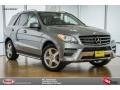 Paladium Silver Metallic - ML 350 Photo No. 1