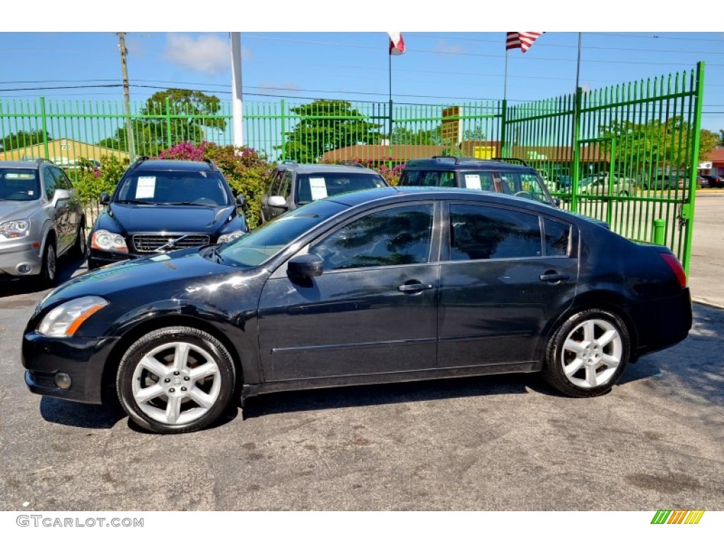 2004 Maxima 3.5 SL - Onyx Black / Frost Gray photo #6