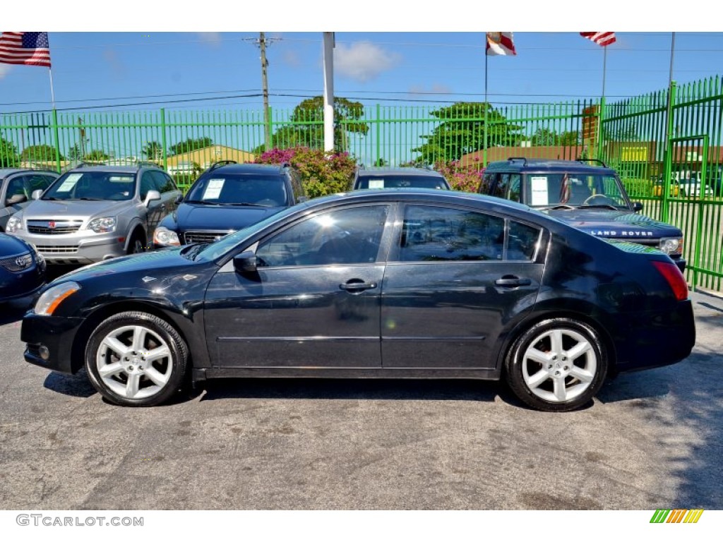 2004 Maxima 3.5 SL - Onyx Black / Frost Gray photo #7