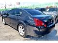 2004 Onyx Black Nissan Maxima 3.5 SL  photo #10