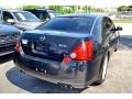2004 Onyx Black Nissan Maxima 3.5 SL  photo #26