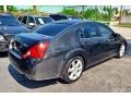 2004 Onyx Black Nissan Maxima 3.5 SL  photo #27