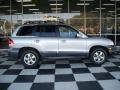 Pewter - Santa Fe GLS Photo No. 1