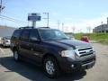 Carbon Metallic - Expedition XLT 4x4 Photo No. 1