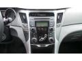 Radiant Silver - Sonata GLS Photo No. 11