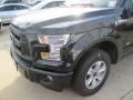 2015 Tuxedo Black Metallic Ford F150 XL SuperCrew  photo #13