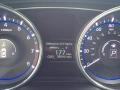 Iridescent Silver Blue Pearl - Sonata GLS Photo No. 15
