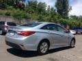 Radiant Silver - Sonata GLS Photo No. 4