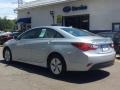 Radiant Silver - Sonata GLS Photo No. 6