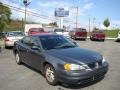 2004 Greystone Metallic Pontiac Grand Am SE Sedan  photo #1