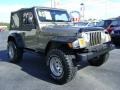 Light Khaki Metallic - Wrangler X 4x4 Photo No. 7