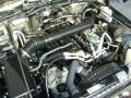 Light Khaki Metallic - Wrangler X 4x4 Photo No. 17