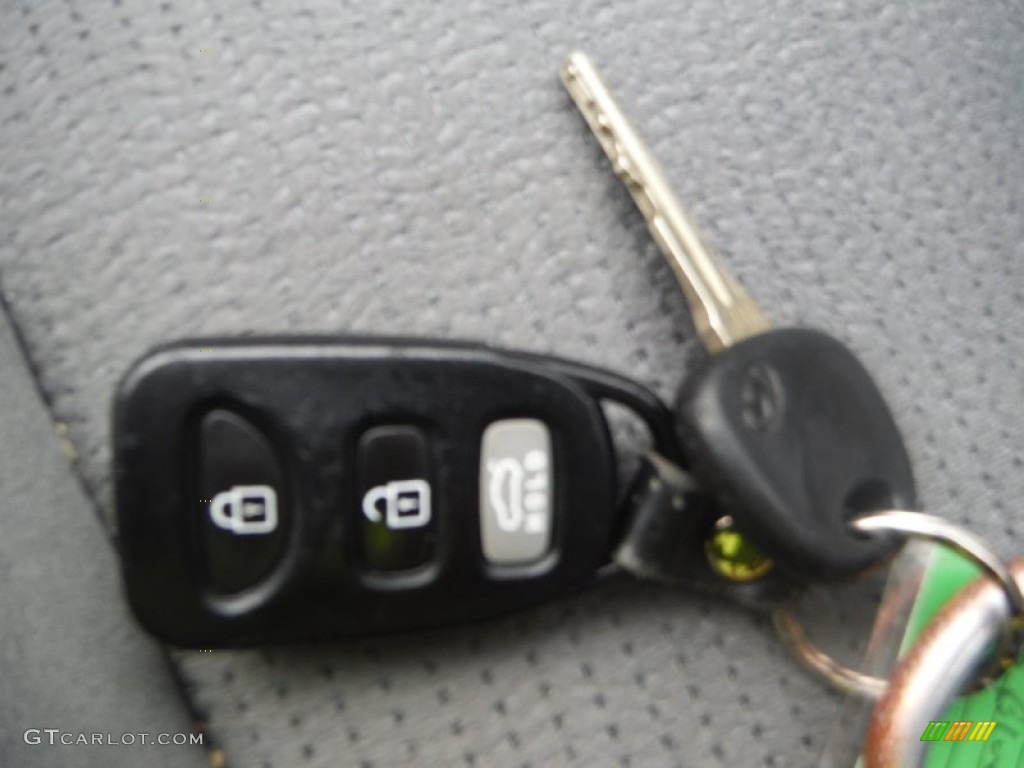 2009 Sonata GLS - Slate Blue / Gray photo #18