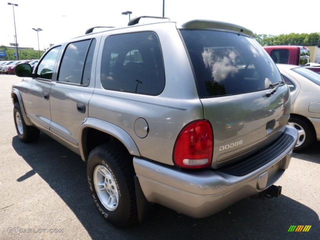 1999 Durango SLT 4x4 - Light Driftwood Satin Glow / Agate photo #2
