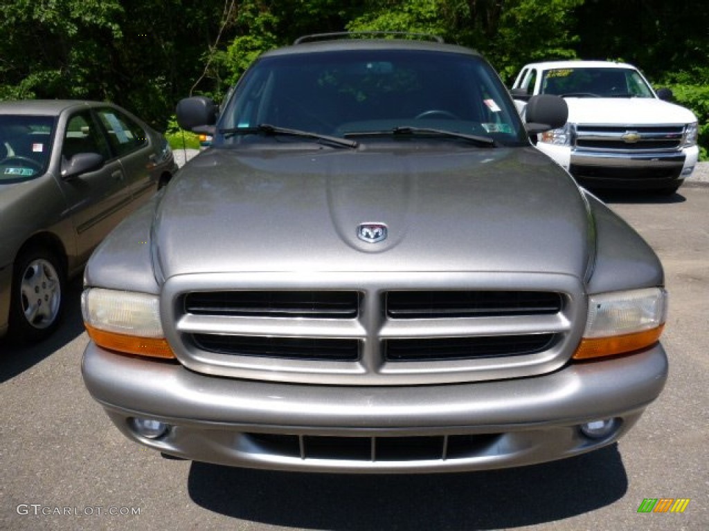 1999 Durango SLT 4x4 - Light Driftwood Satin Glow / Agate photo #6