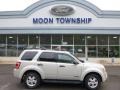 Light Sage Metallic 2008 Ford Escape XLT V6 4WD