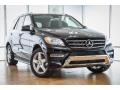 Black - ML 350 Photo No. 12