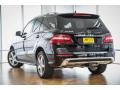 Black - ML 350 Photo No. 3