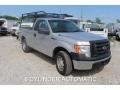 Ingot Silver Metallic - F150 XL Regular Cab Photo No. 5