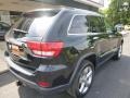 2013 Black Forest Green Pearl Jeep Grand Cherokee Limited 4x4  photo #9