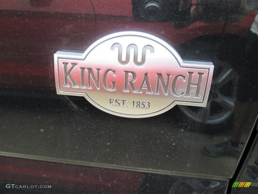 2015 F150 King Ranch SuperCrew 4x4 - Tuxedo Black Metallic / King Ranch Java/Mesa photo #7