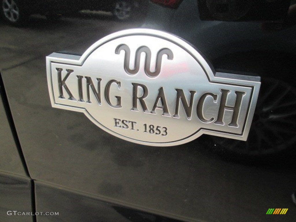 2015 F150 King Ranch SuperCrew 4x4 - Tuxedo Black Metallic / King Ranch Java/Mesa photo #14