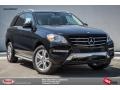 2015 Black Mercedes-Benz ML 350 4Matic  photo #1