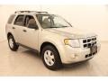 Gold Leaf Metallic 2012 Ford Escape XLT V6