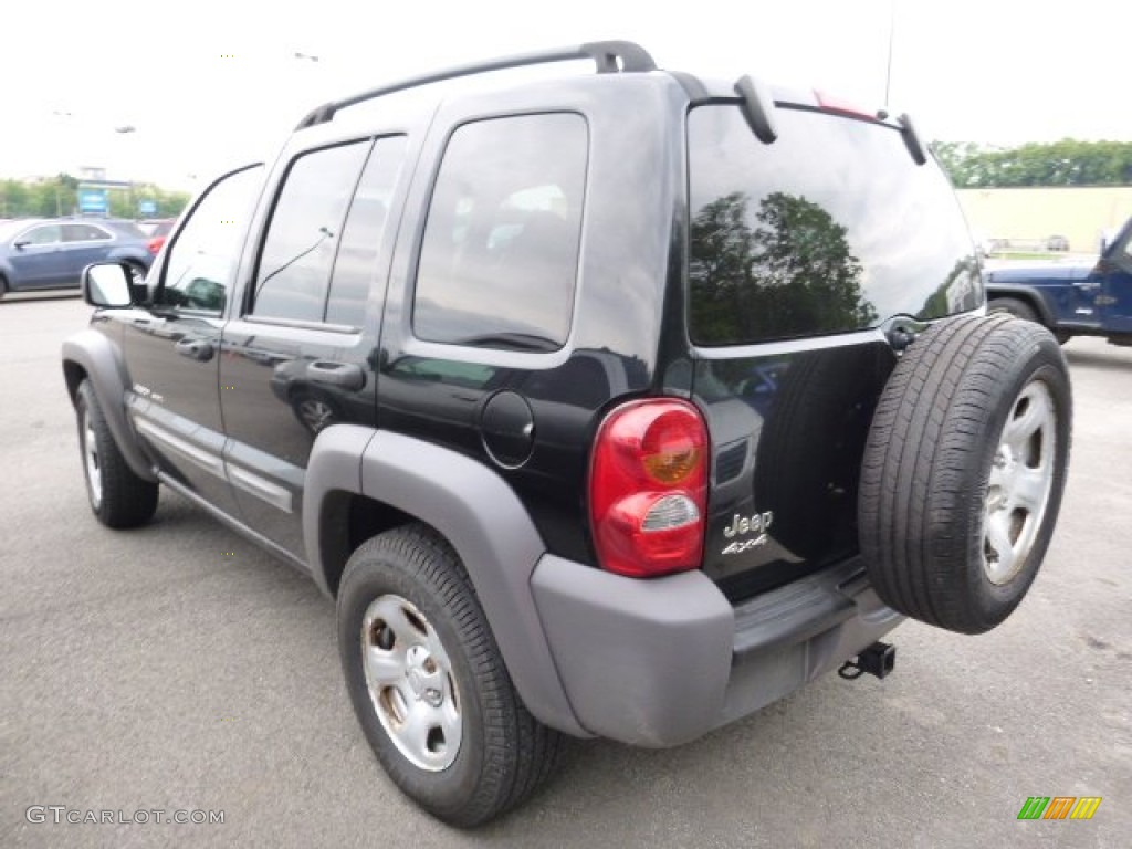 2002 Liberty Sport 4x4 - Black / Dark Slate Gray photo #2
