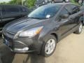 2015 Magnetic Metallic Ford Escape SE  photo #12